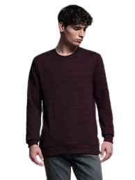 Essential Solid Crewneck Sweatshirt